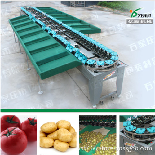 Automatic fruit and vegetable grading machine factory price